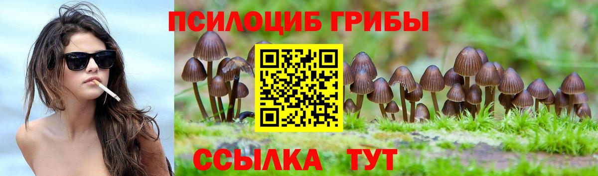 Омск  Псилоцибиновые грибы мухоморы  Вход с VPN 